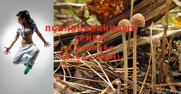 марки nbome Аркадак