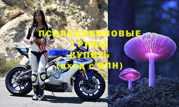 марки nbome Аркадак