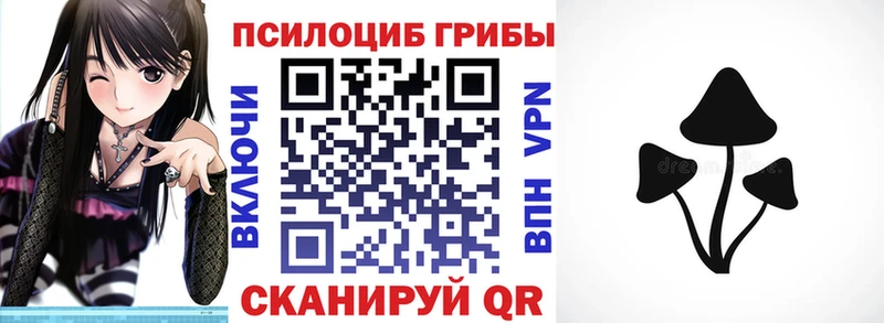 Псилоцибиновые грибы прущие грибы  Белый 